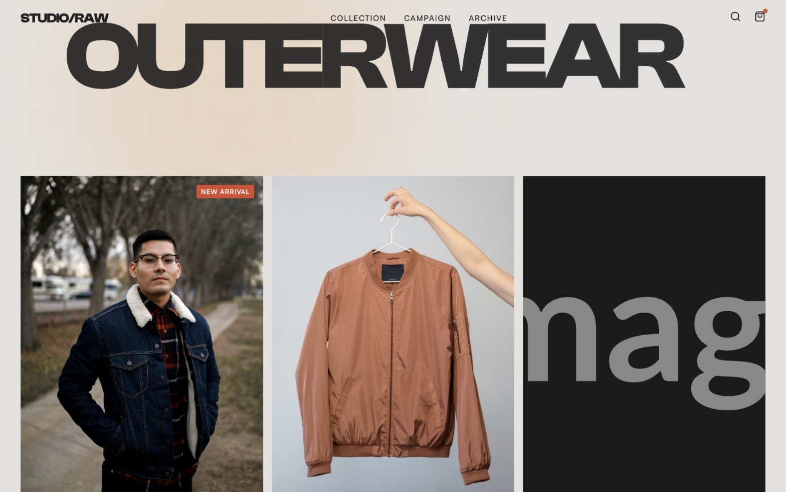 E-commerce website homepage preview